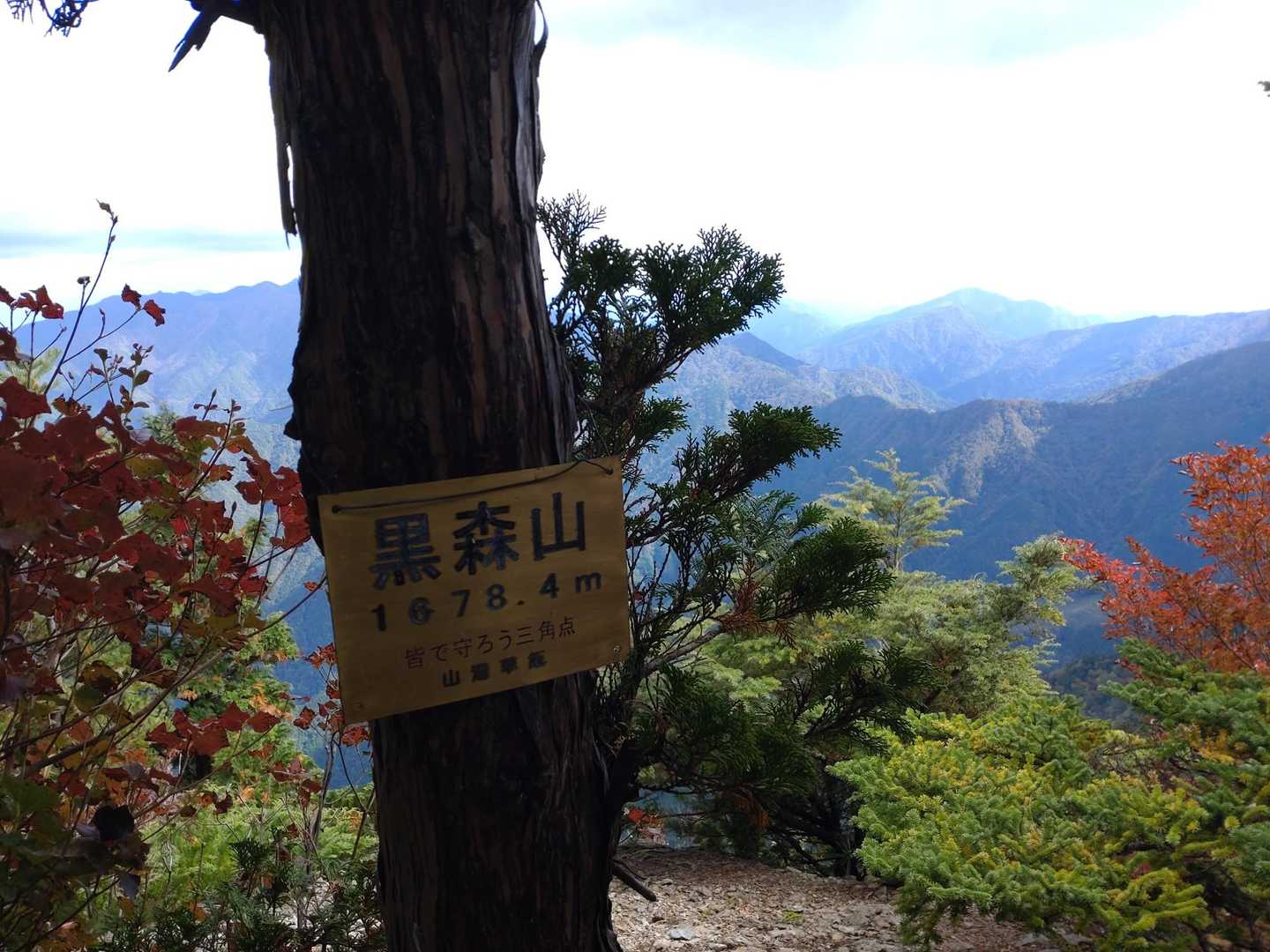 黒森山頂上。