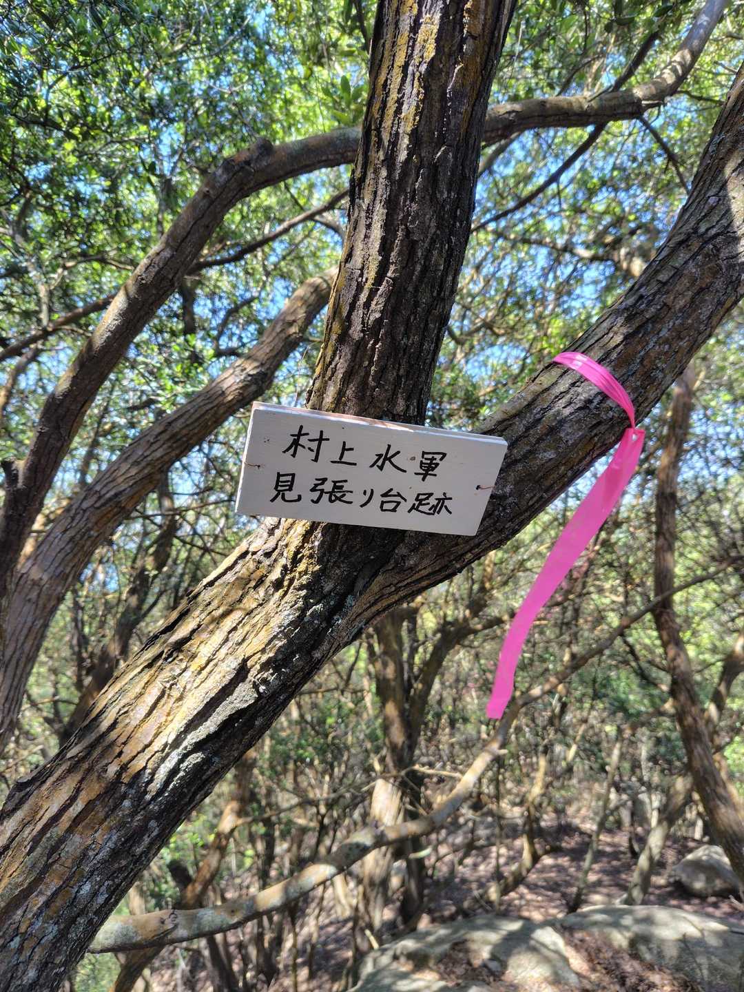 内海農協前バス停-鳶ガ巣山-切石山登山口 周回コースの写真
