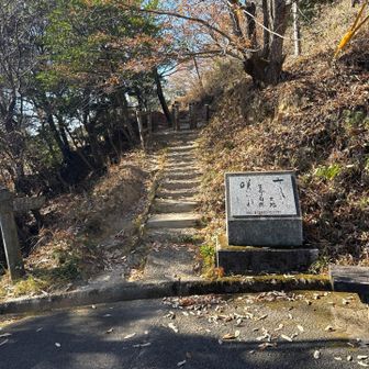 ここからまた登山道へと入る。