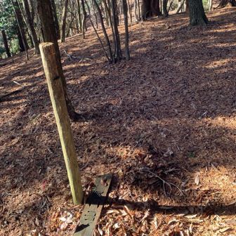 標識が、朽ちて落ちてた。山頂方面表示