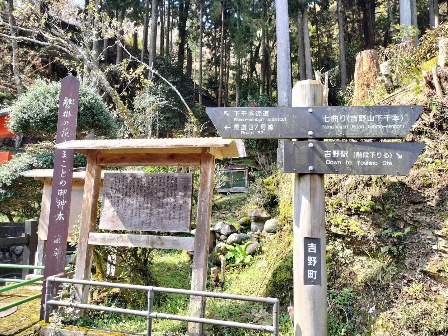 もちろん、千本道近道で