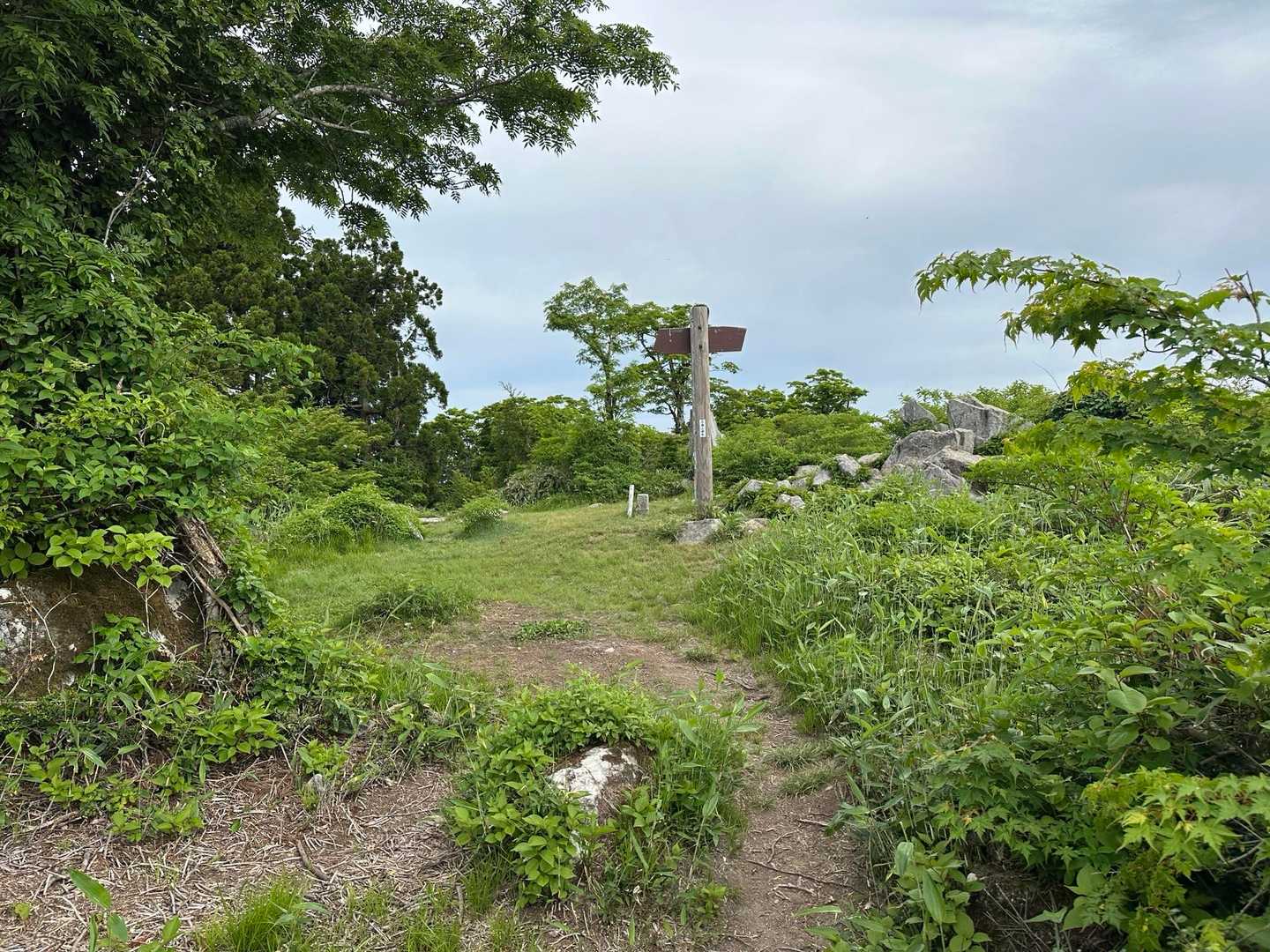 戻ってきました