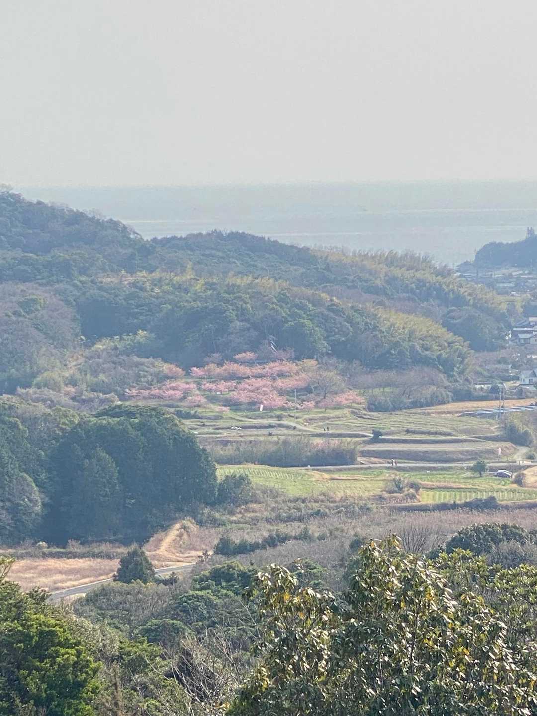 さくらの里が見える♡