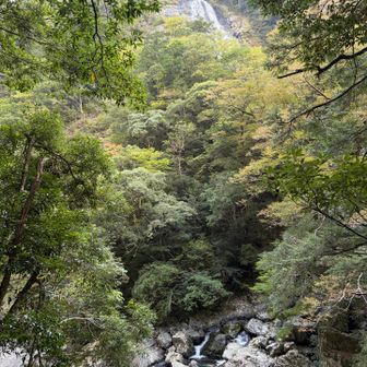 千尋滝、、上の方から凄い迫力