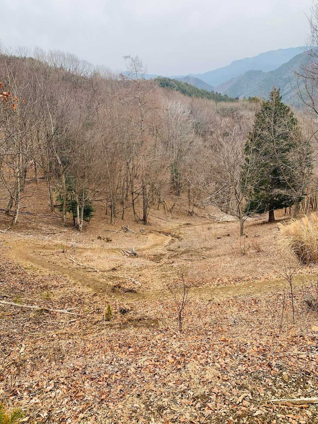 今日はピストル🔫・・・違うピストン😓