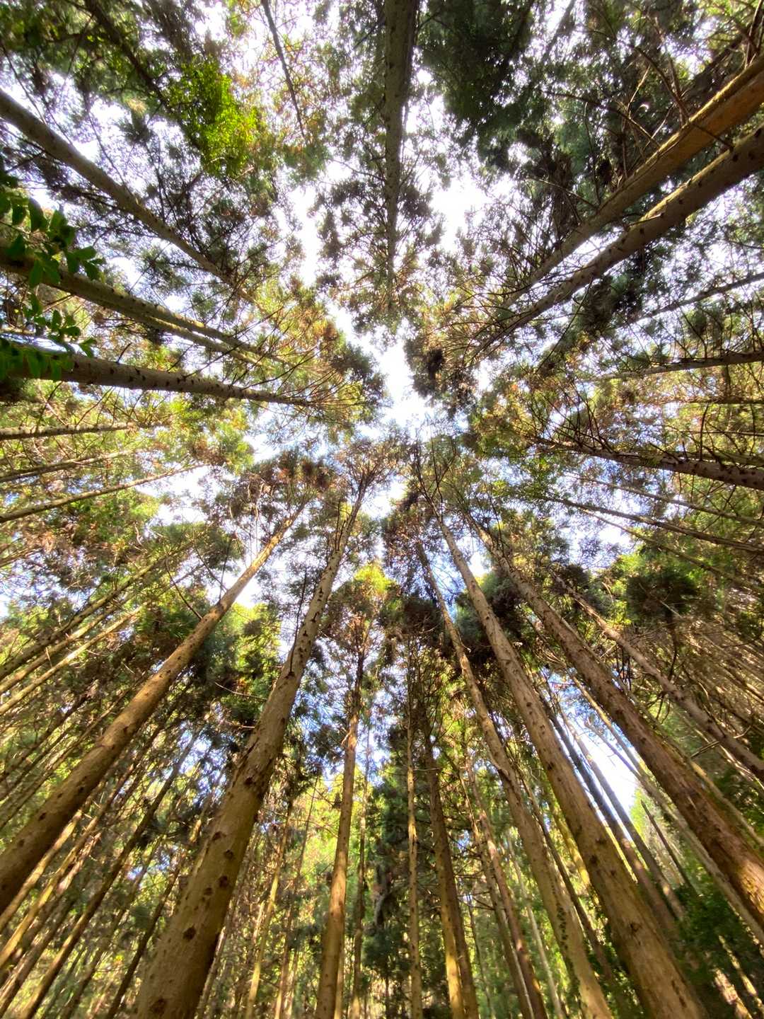 素晴らしいお山⛰ですねー