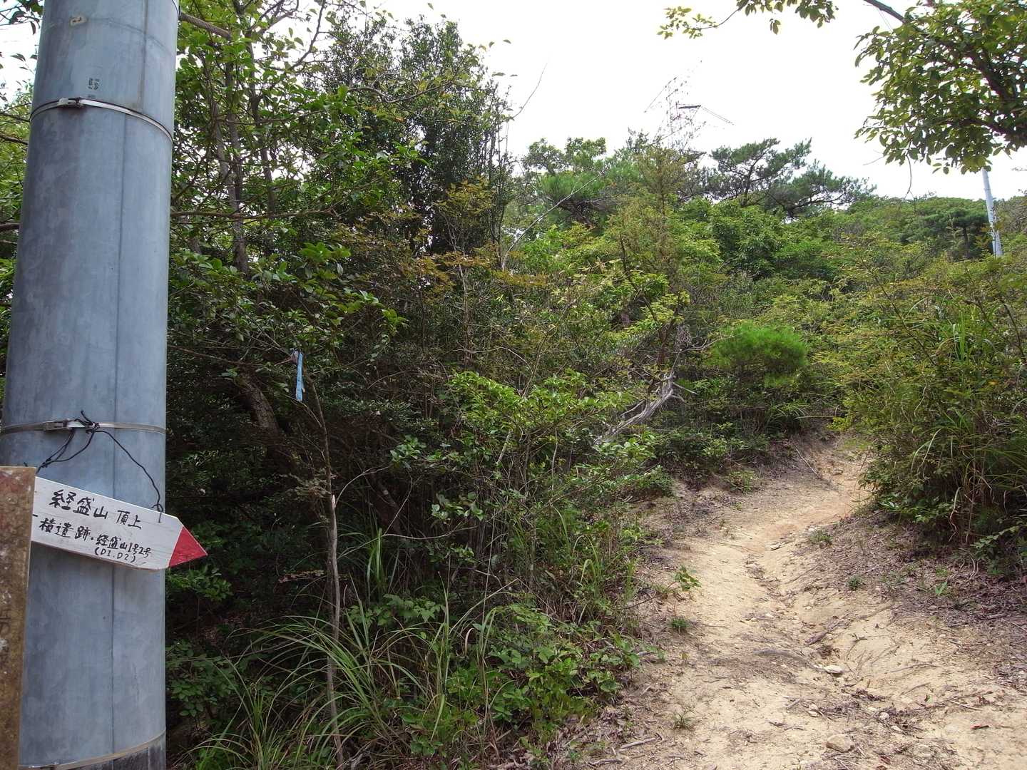 大阪峠から、経盛山へひと登りですが、これがきつい。