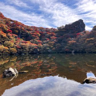 水面が鏡