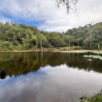 雌池。雄池（横池）の奥にこんな池があったなんて今日初めて知りました😳