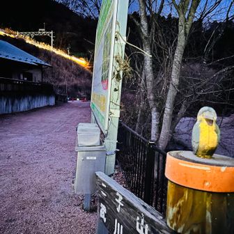 おはようございます
車の温度計−１℃でしたが体感はもっと寒い🥶
里山のブラックスタートは怖くてグズグズ。

今の時期「あしがくぼの氷柱」が創られるので、二子山までは今回のルートしか通れませせん⚠︎