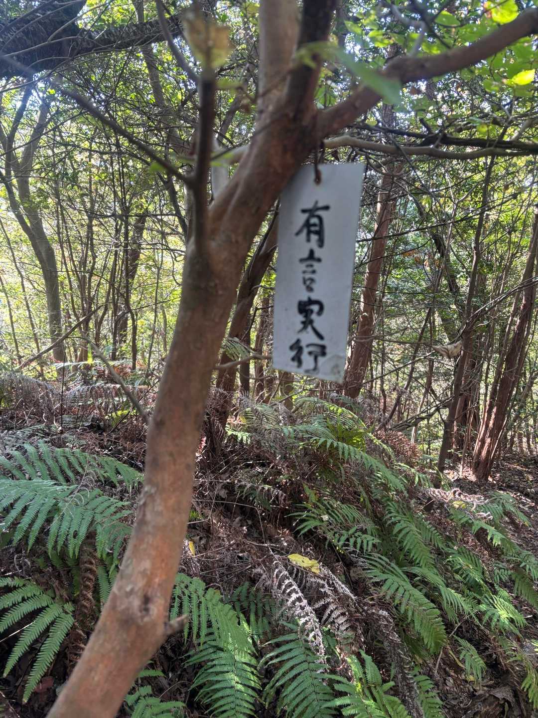 うどんの為に小走りしました！！✨️