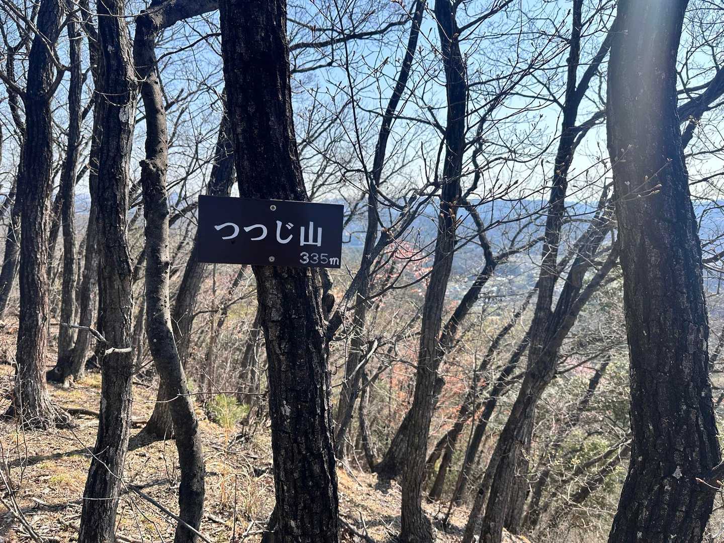 四座目はつつじ山
