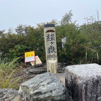 登頂しました⛰️周りはガスで真っ白で何も見えません😕