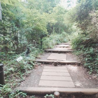 登山道