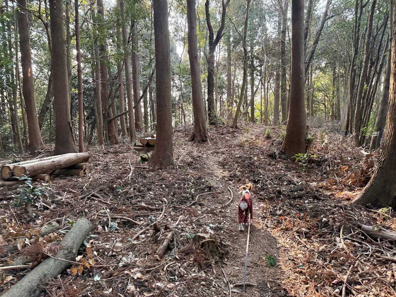 ルンルン