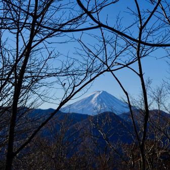 三頭山を思い出す
