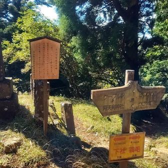 16丁目で休憩、なんかベンチひとつ減った気がする