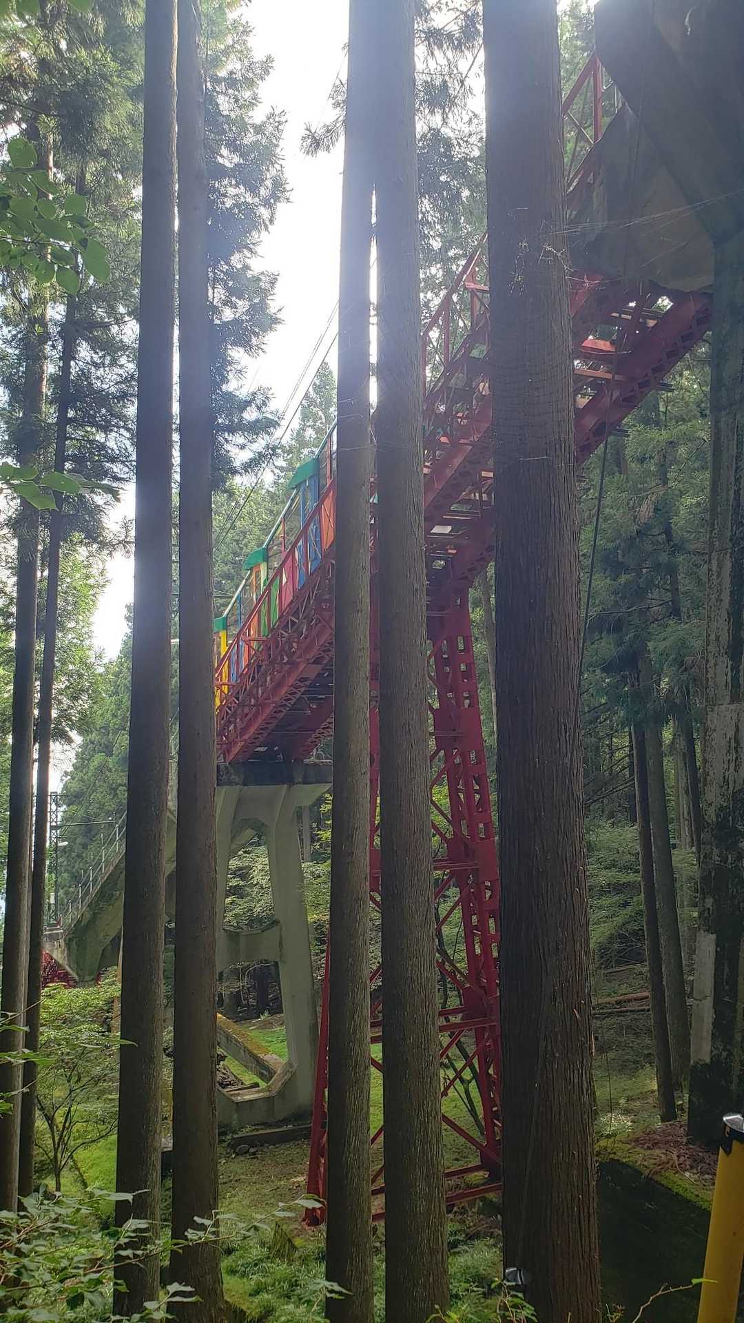 滝本駅-御嶽神社-御岳山 往復コースの写真