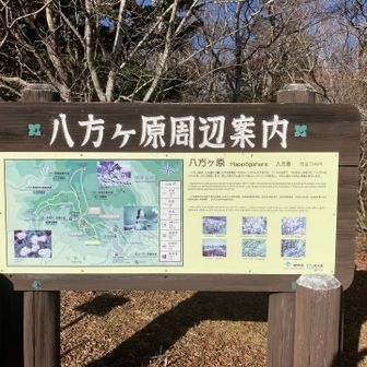 今日はこの先へ足を踏み入れます❗️