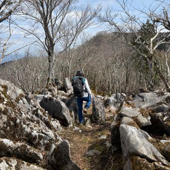 ほどよい風🌪️
涼しーい