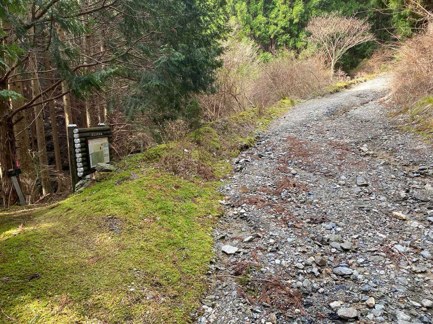 この道を右に行ってしまった。
本当のコースはこの左のあぜ道。
わかりにくい…😓