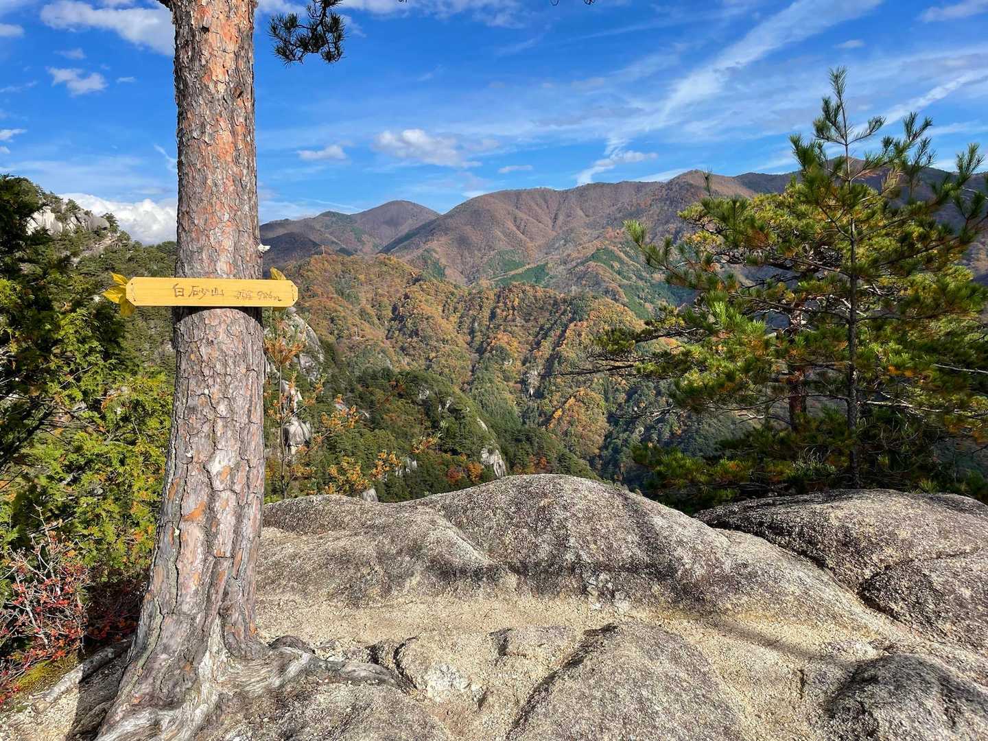 白砂山山頂〜