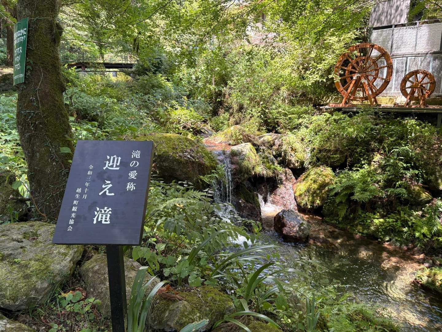 少し歩くと滝がお出迎え😊
その名も【迎え滝】✨