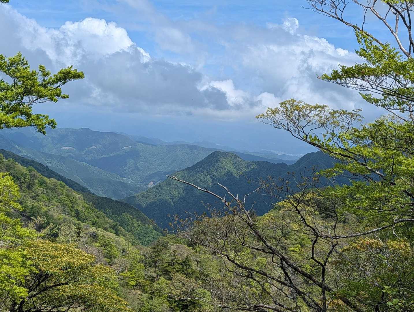 金谷乗越からは視界が開ける。
奥に見えるのは相模湾かな。