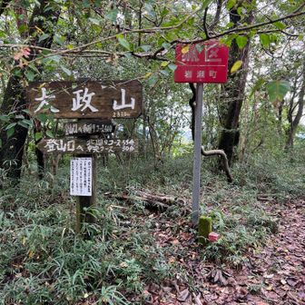 大政山2回目。
防虫ネットを被った老夫婦とすれ違う。
そこまでして登るとはたくましい。
この山域はそれなりの覚悟と装備がいる✨

ロープのある急下降でまんさくの丘へ。
うへーー😅