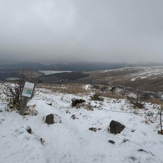 雪原らしい景色になってきた