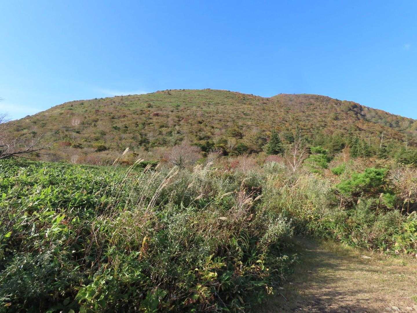 下り切って平坦になった場所から、大関山を見ています。