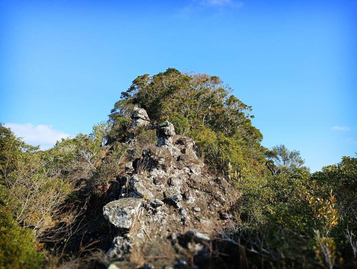 中嶽が擁する尾根の一部である、標高390m圏峰を見上げる。造形的な岩峰を攀じ登り、細い踏路を下っていくと…。