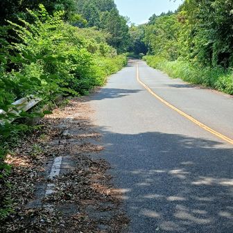 車道の両サイドシゲシゲで歩きにくい 
危ないです！