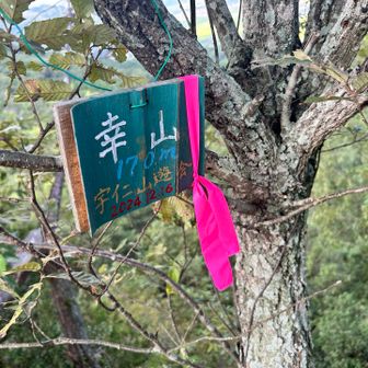 幸山ピーク