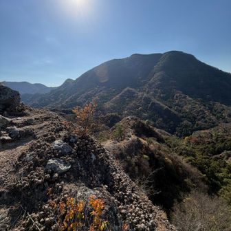 楽しいアップダウン