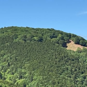 赤ゾレ山？