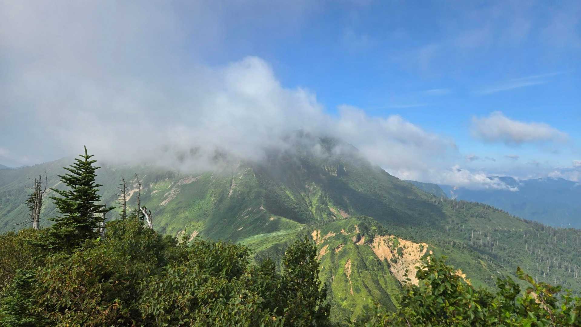 苗場山
山頂はガスってます