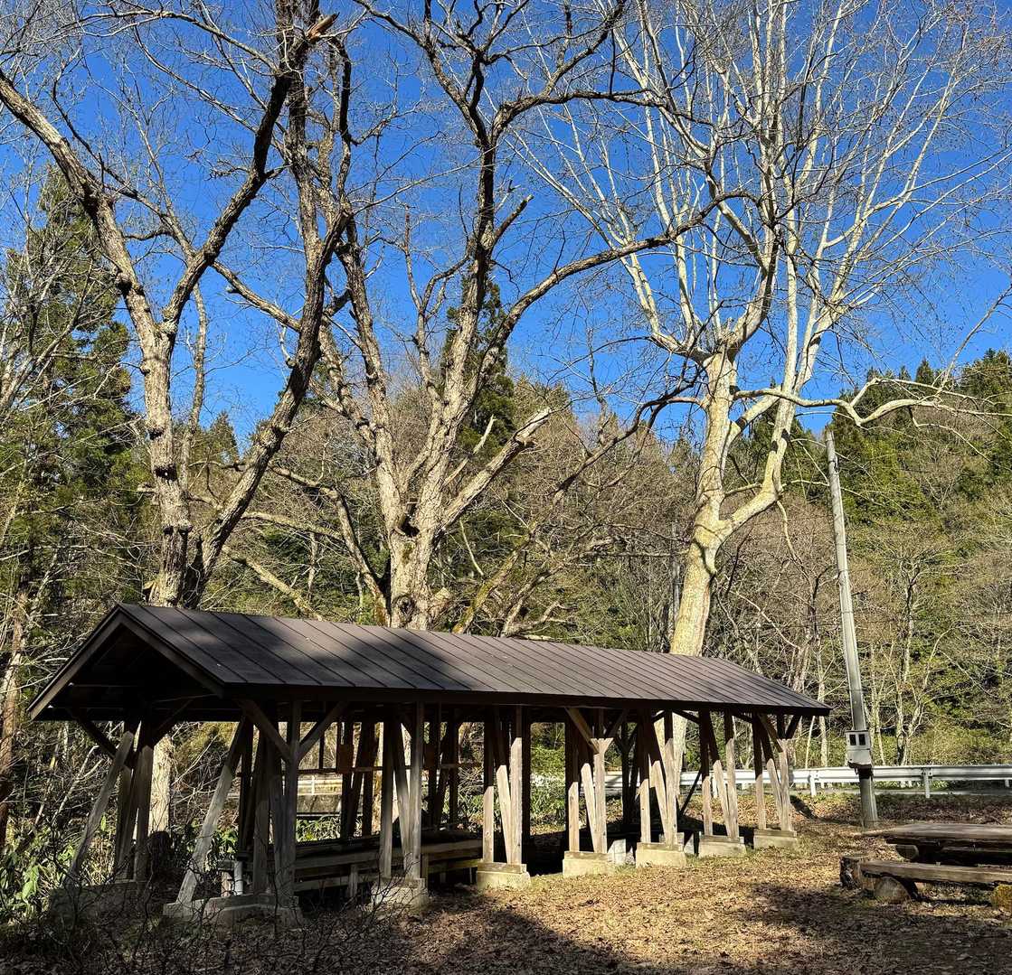 春のリレー、これからです♪