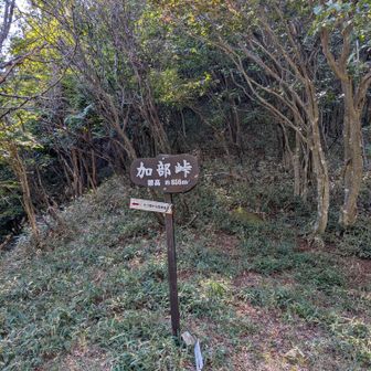 ここからも、激下り
足が疲れてきて踏ん張れない😣
何度、ズリズリしたことやら💦
相方は、珍しく滑って尻もちもついてた🤭