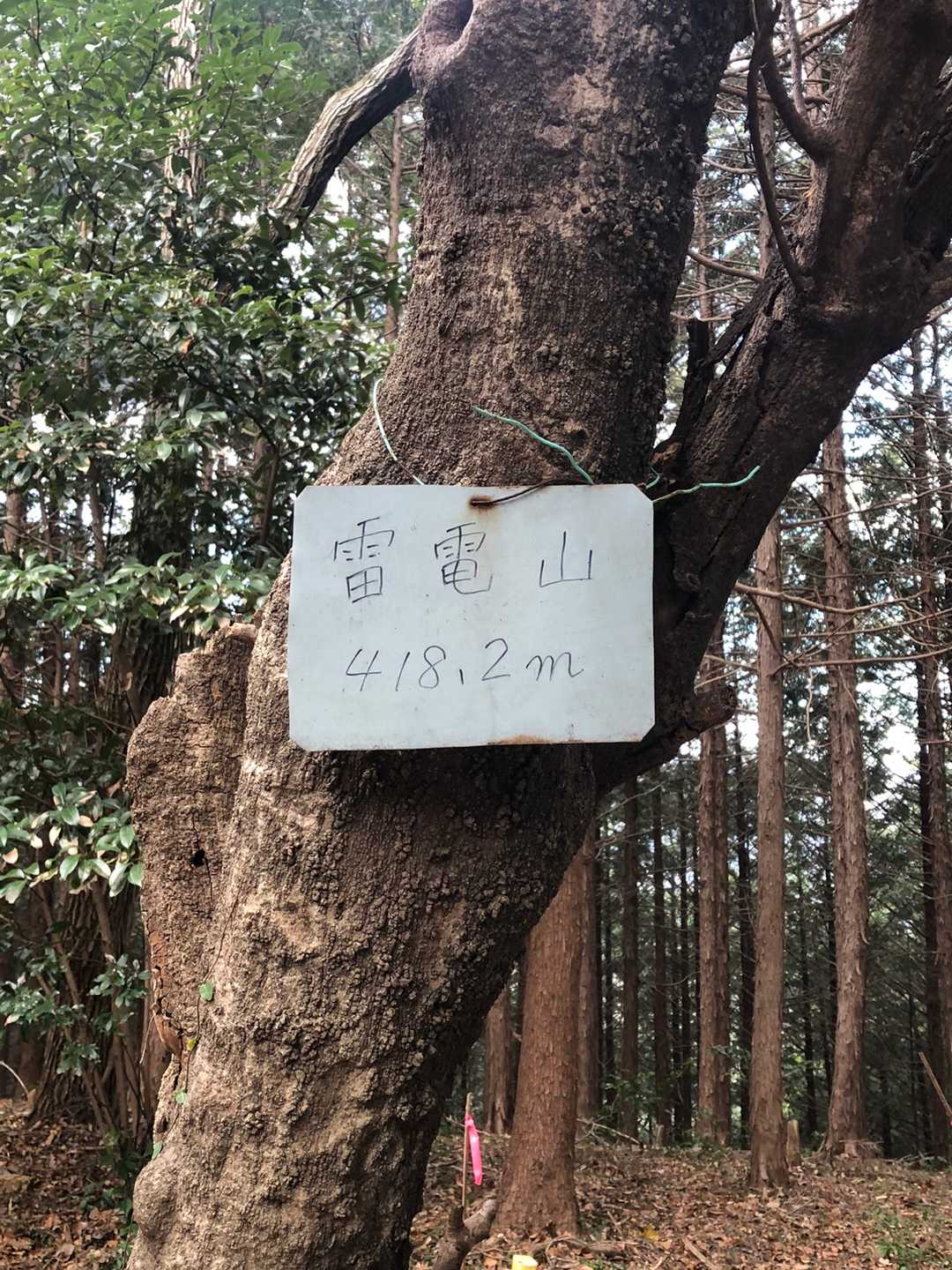 雷電山着きました。青梅にもありますね。