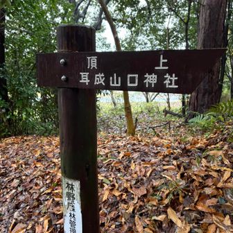 先輩が選んだ下山道はあまり人の気配無かったけれど
