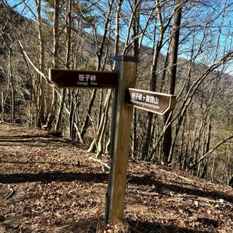 直進するとロープ有りの急登で笹子峠に降りますが、怖いので左手から巻いて降りました