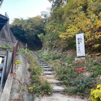 整備された階段