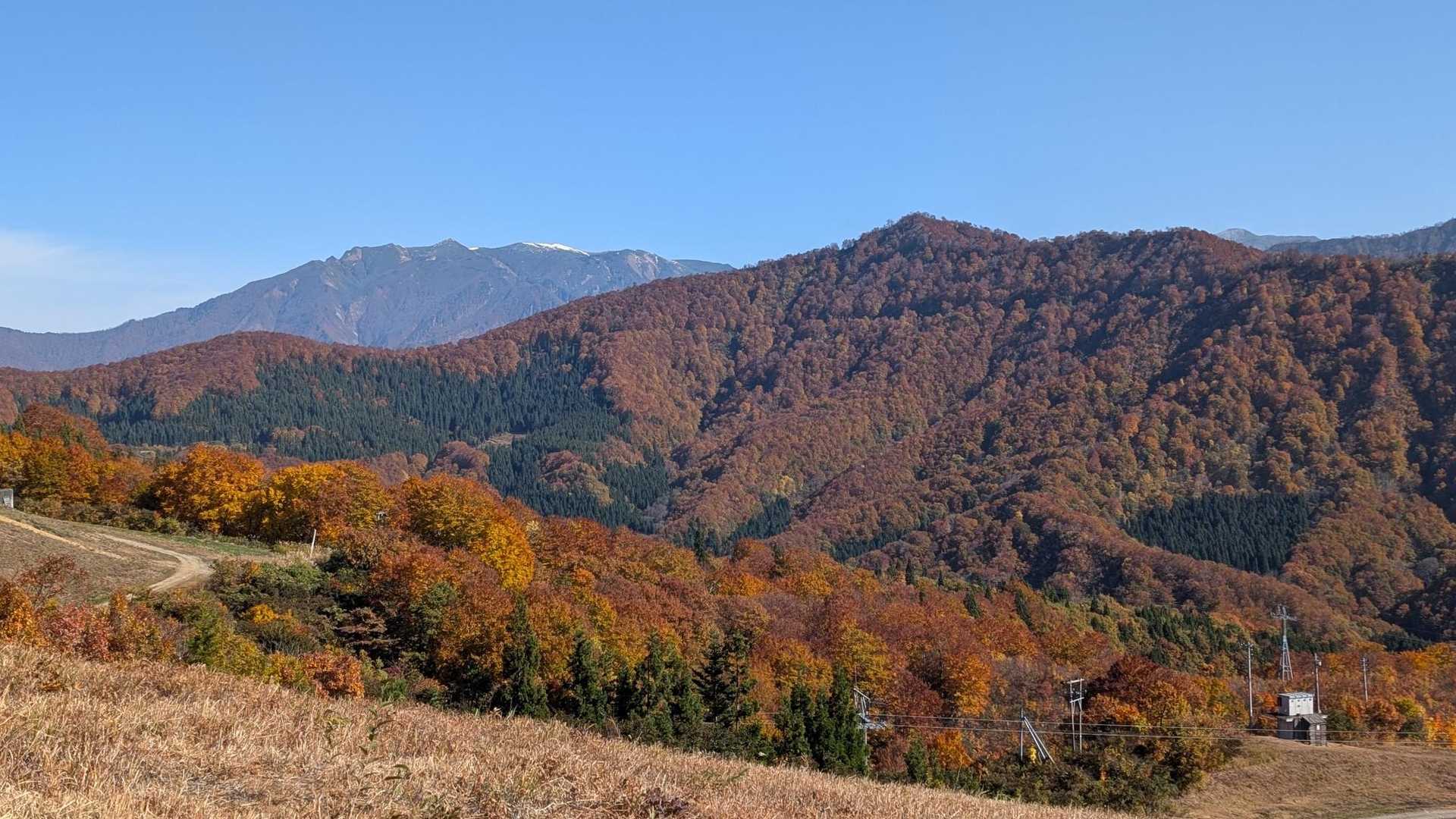 飯士山登山口-南コース登山口-飯士山 周回コースの写真