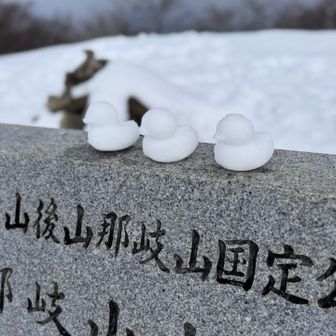 ひよこ屋さんしました🐤