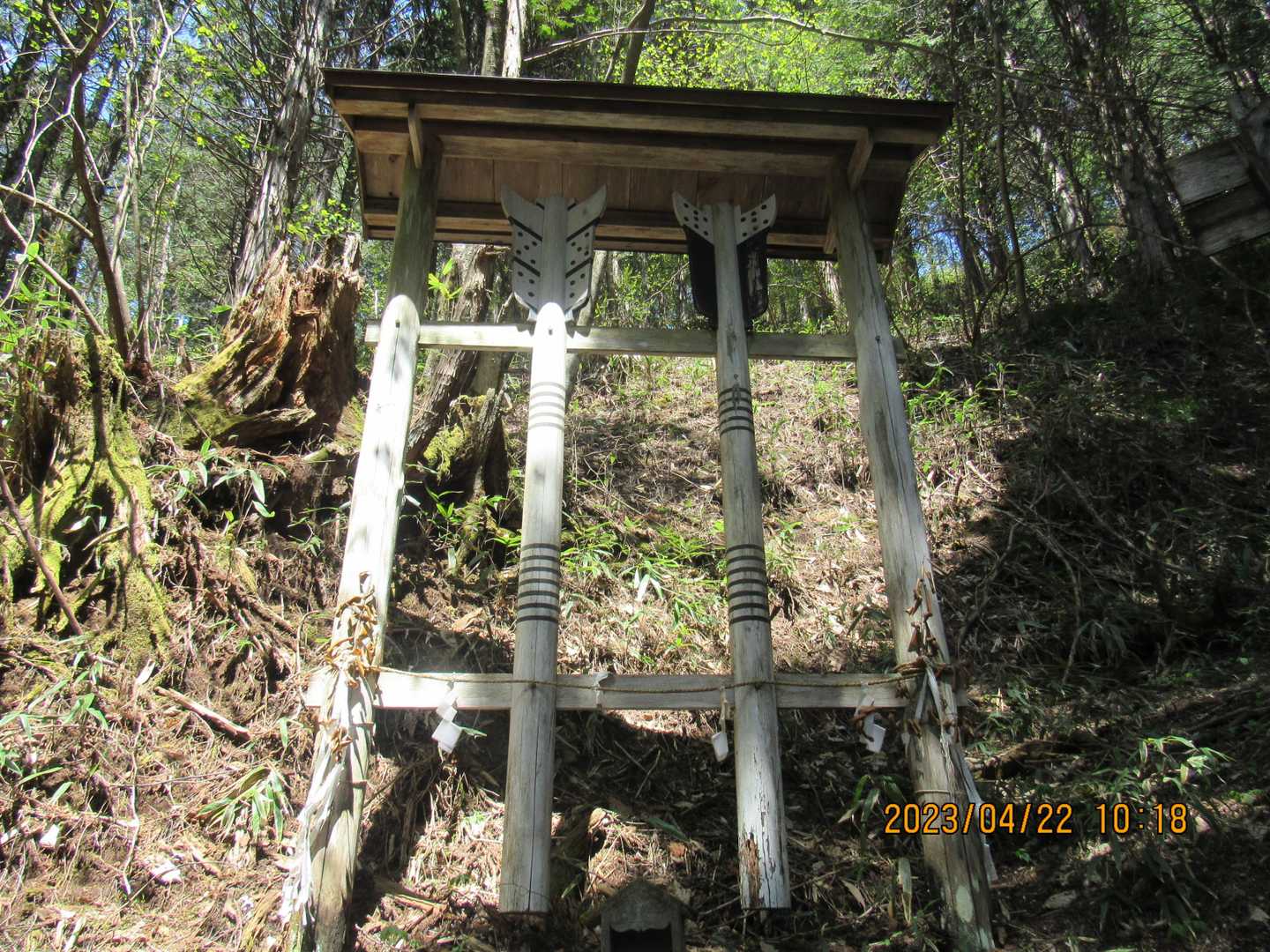 次にでっかい矢が見えました　矢立木です　ここで標高1320m　まだ約215m上がるのね･･･