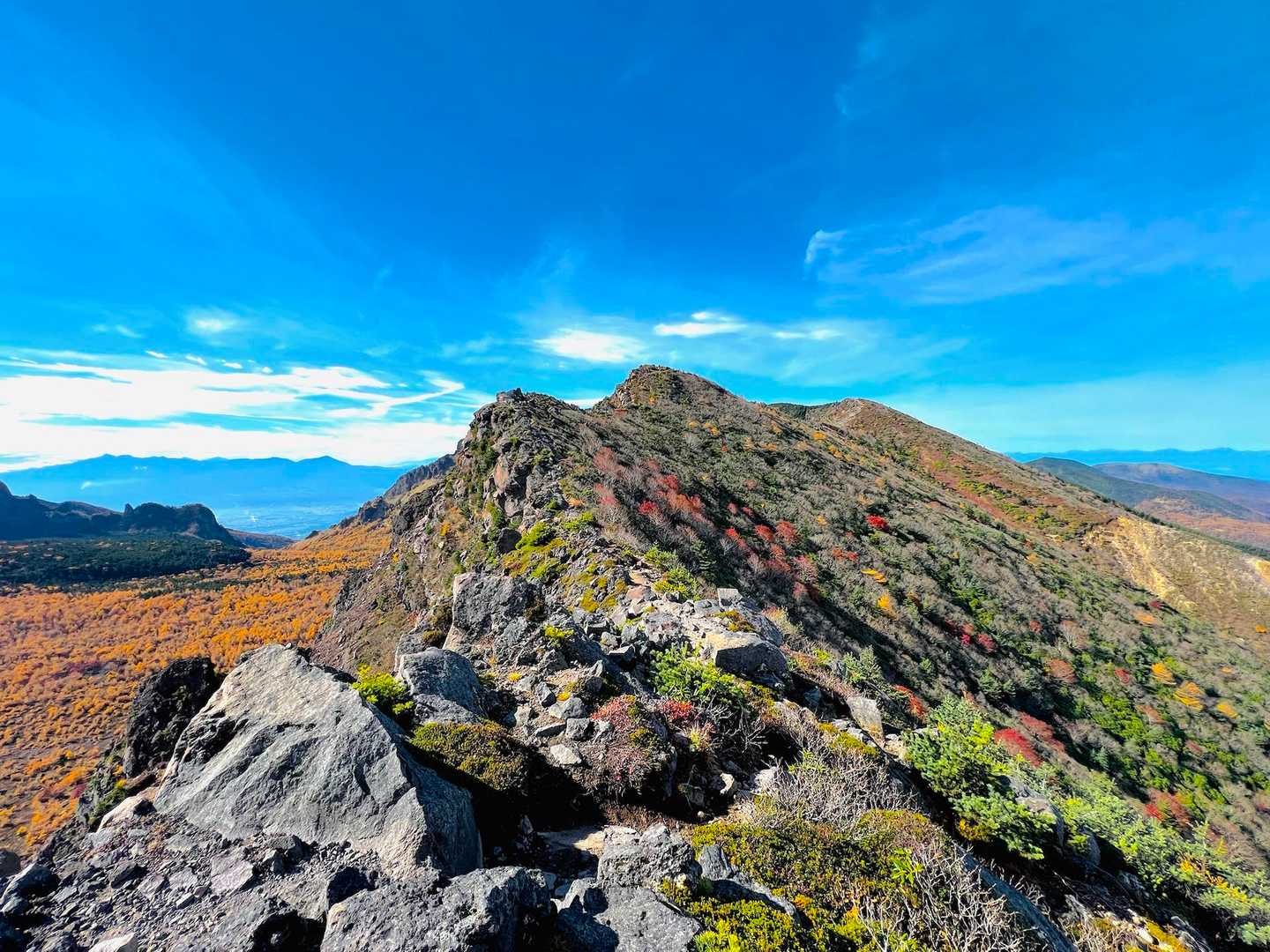 ゴールドな浅間山を見に😆 / ハルセロナ📷の登山データ | YAMAP / ヤマップ