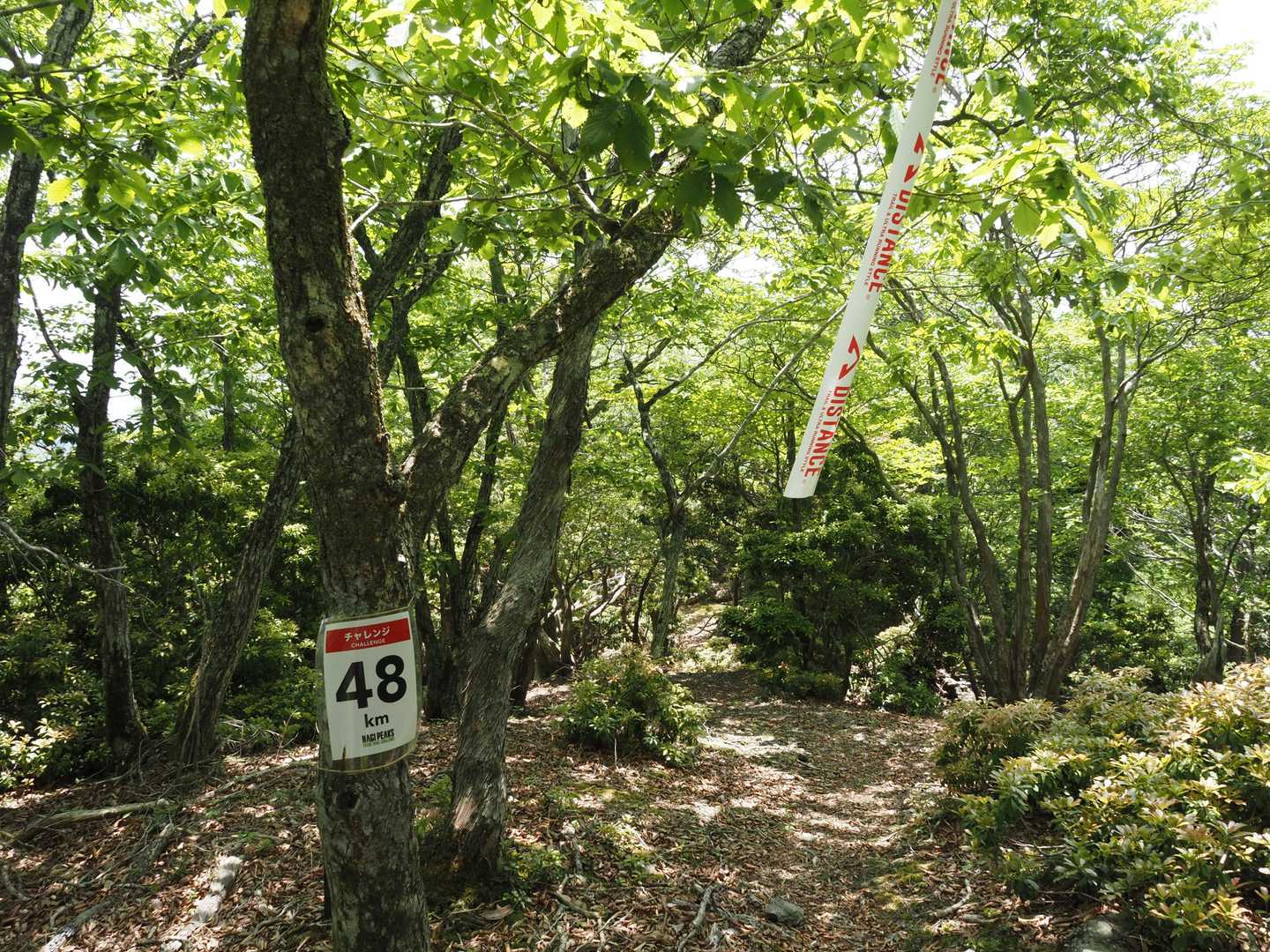 48kmの標識があり下の方に49kmがあったので、此処は下るってことでしょうか？🤔