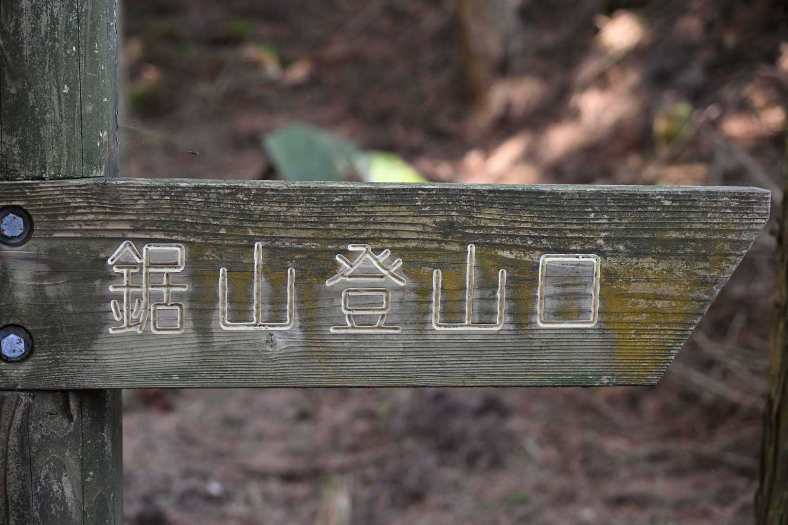 よし、今日も行くぞう！！
