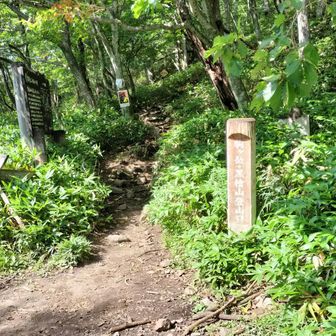 駒ヶ岳・黒檜山登山口に出てきた